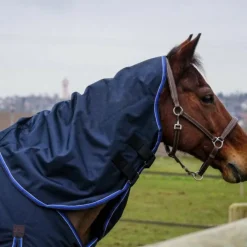 Outlet - Couvre-cou Classic 1200D 0g Couvertures Poneys|Couvertures Et Chemises