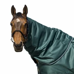 Couvertures Poneys|Couvertures Et Chemises*Equithème - Couvre-cou Tyrex 600D 200g Vert