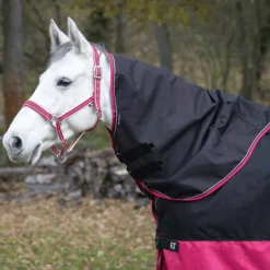 Couvertures Poneys|Couvertures Et Chemises*Equithème - Couvre-cou Tyrex 1200D 0g /framboise Noir