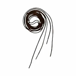 Accessoires Boots/ Bottes*Equithème - Lacets brun