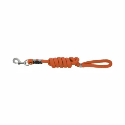Laisses*Equithème - Laisse pour chien Rio Orange