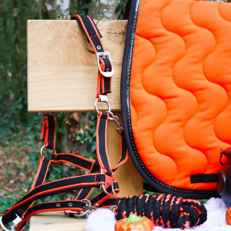 Licols Poneys|Ensembles Licols Et Longes*Equithème - Licol + longe Satiné noir/ Orange