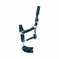 Licols Poneys|Ensembles Licols Et Longes*Equithème - Licol + longe Satiné / turquoise Marine
