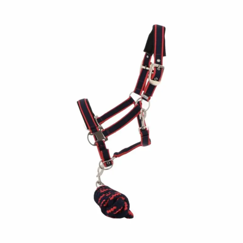 Licols Poneys|Ensembles Licols Et Longes*Equithème - Licol + longe Satiné /fuchsia Marine