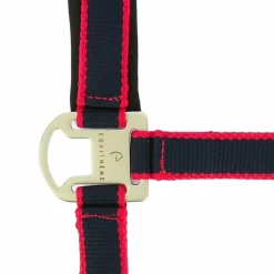 Licols Poneys|Ensembles Licols Et Longes*Equithème - Licol + longe Satiné /fuchsia Marine