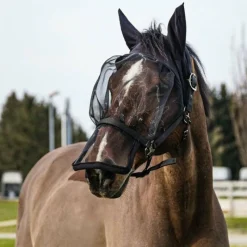 Masques Anti-Mouches Poneys|Masques Anti-Mouches*Equithème - Licol avec masque anti-mouches et UV Noir