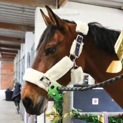 Licols Poneys*Equithème - Licol de transport Teddy marine/ écru