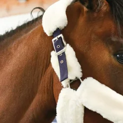 Licols Poneys*Equithème - Licol de transport Teddy marine/ écru