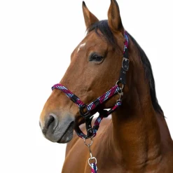 Discount - Licol et longe tressé fuchsia/ bleu ciel/ marine Licols Poneys|Ensembles Licols Et Longes