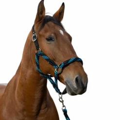Clearance - Licol et longe tressé turquoise/ / noir Licols Poneys|Ensembles Licols Et Longes