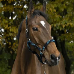 Clearance - Licol et longe tressé turquoise/ / noir Licols Poneys|Ensembles Licols Et Longes