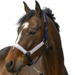 Best - Licol nylon Check Licols Poneys