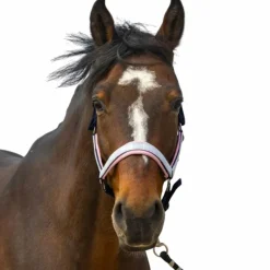 Sale - Licol nylon Check / rose Licols Poneys