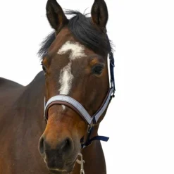 Licols Poneys*Equithème - Licol nylon Check / marron Marine