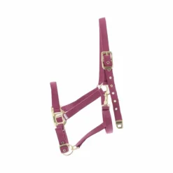 Licols En Nylon*Equithème - Licol Nylon Fuchsia