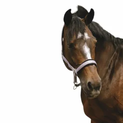 Licols Poneys*Equithème - Licol Nylon Jacquard lilas Violet