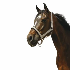 Licols Poneys*Equithème - Licol Nylon Jacquard taupe Marron