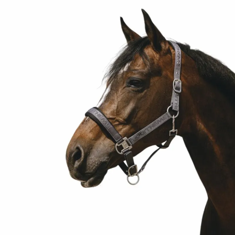 - Licol Nylon Jacquard Licols Poneys