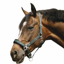 Licols Poneys*Equithème - Licol Nylon Jacquard Vert