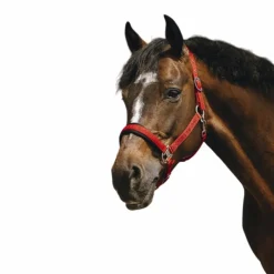 Sale - Licol Nylon Jacquard Licols Poneys