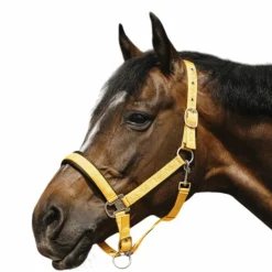 Outlet - Licol Nylon Jacquard Licols Poneys