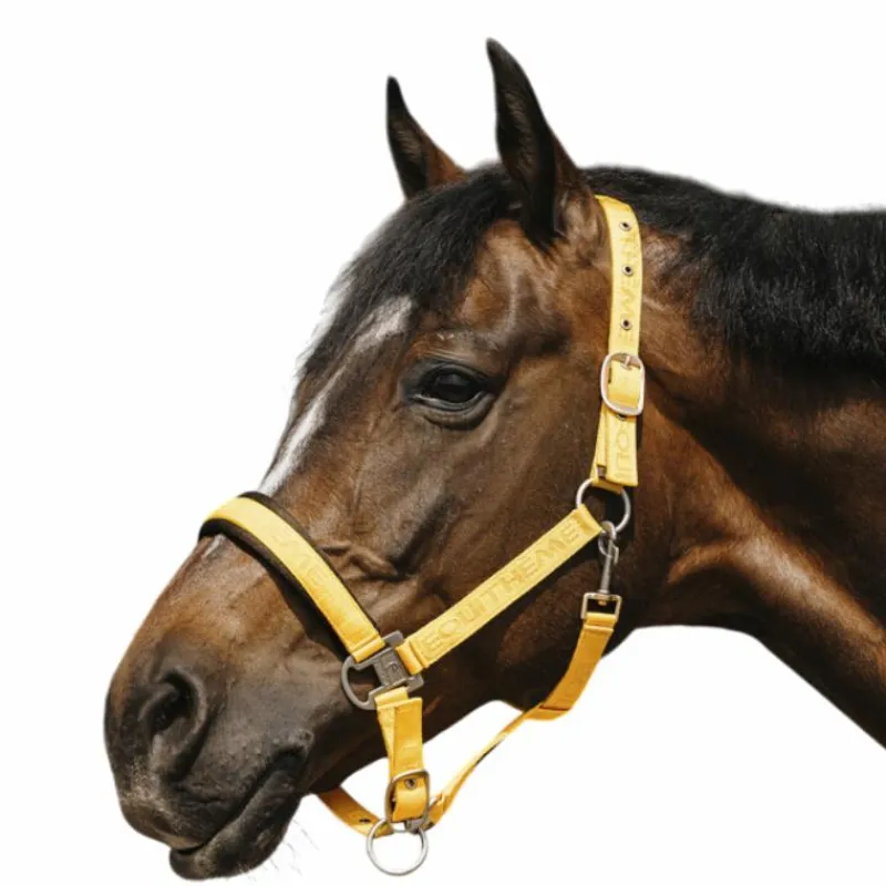 Outlet - Licol Nylon Jacquard Licols Poneys