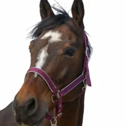 - Licol nylon Light Licols Poneys