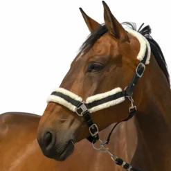 Clearance - Licol nylon Mouton / blanc Licols Poneys