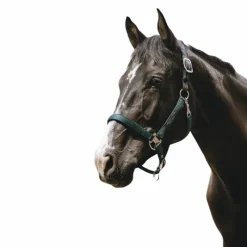 Clearance - Licol Nylon Protector Licols Poneys