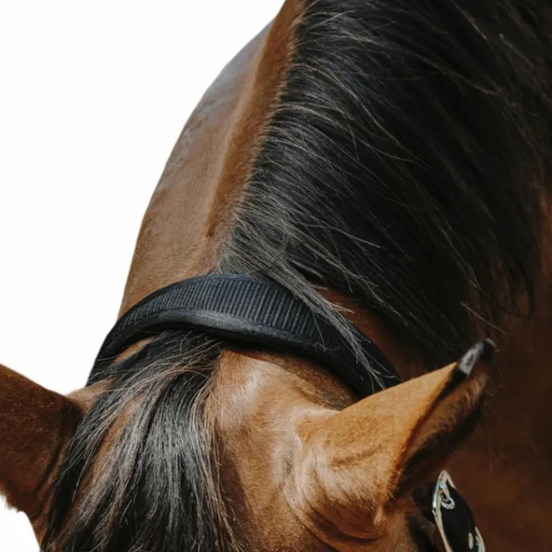 Licols Poneys*Equithème - Licol Nylon Protector Noir