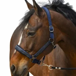 Licols Poneys*Equithème - Licol nylon Strass Marine