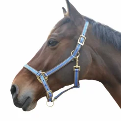 Online - Licol Polyfun bleu vif Licols Poneys|Licols Polypropylène