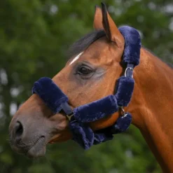 Discount - Set Teddy pour licol marine Accessoires De Licols