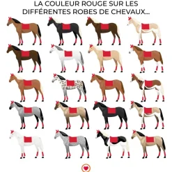 Dressage|Tapis De Dressage*Equithème - Tapis de dressage Satin Rouge