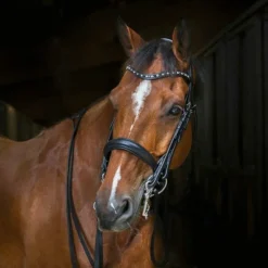 Dressage|Brides*Eric Thomas - Bride doublée Clarino strass Noir