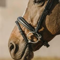 Bridons*Eric Thomas - Bridon bat Noir