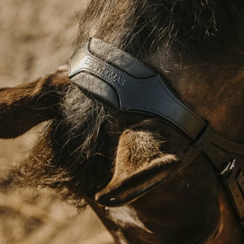 Bridons*Eric Thomas - Bridon bat Noir