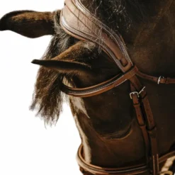 Clearance - Bridon Crown Bridons