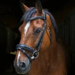 Discount - Bridon Design Cso|Bridons