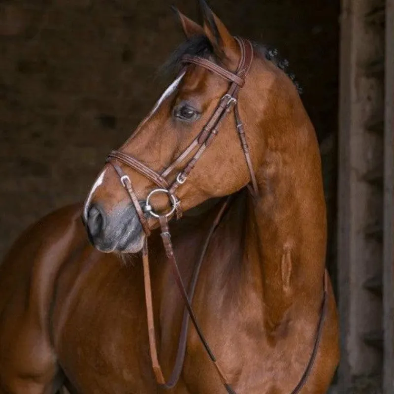 New - Bridon hybrid forme Cso|Bridons