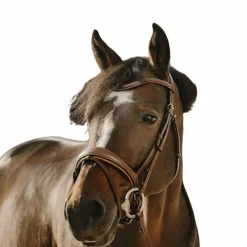 Bridons*Eric Thomas - Bridon Visby Havane