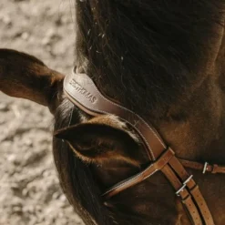 Bridons*Eric Thomas - Bridon Visby Havane