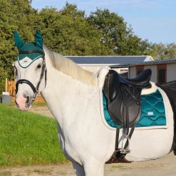 - Bridon Wave Cso|Bridons