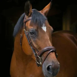 Cso|Bridons*Eric Thomas - Bridon Wave Havane