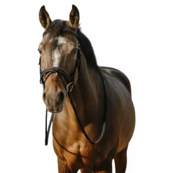 New - Bridon Work Bridons Poneys|Bridons