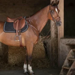 Concours Complet D'Equitation|Colliers De Chasse Poneys*Eric Thomas - Collier de chasse Hybrid Havane