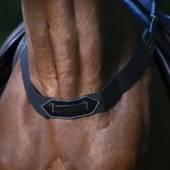 Concours Complet D'Equitation|Bricoles*Eric Thomas - Fausse bricole élastique Pro