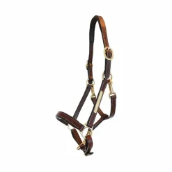 Élevage|Grooming*Eric Thomas - Licol cuir Grooming Havane