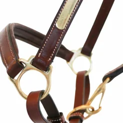 Élevage|Grooming*Eric Thomas - Licol cuir Grooming Havane