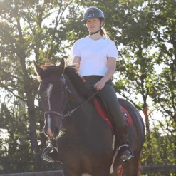 Online - Muserolle bitless havane Muserolles